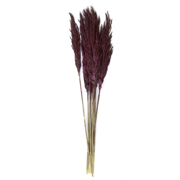 Trockenblumenstrauss, Kyan Purple, 400-22-200